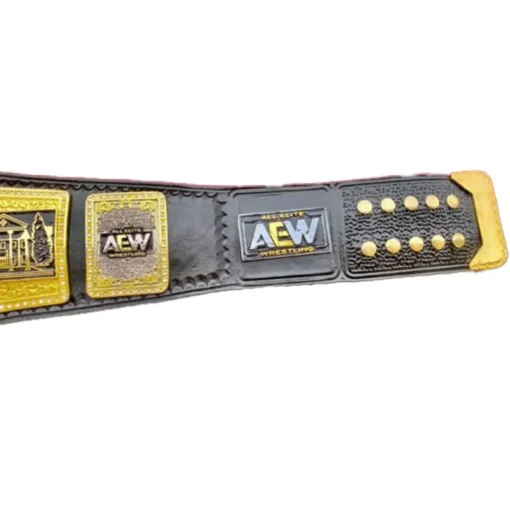 AEW TNT WRESTLING CHAMPIONSHIP BELT