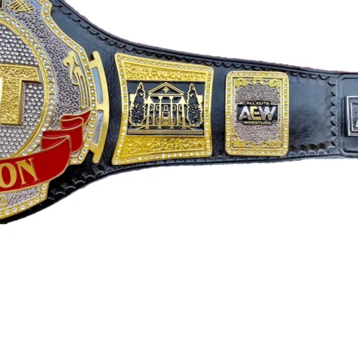 AEW TNT WRESTLING CHAMPIONSHIP BELT