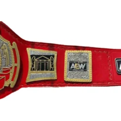 AEW TNT WRESTLING RED LEATHER WORLD