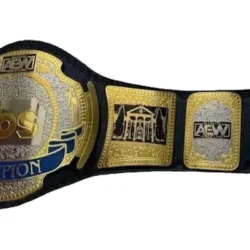 AEW WOMEN WRESTLING BELT TBS