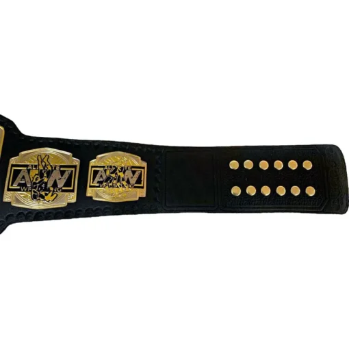 AEW World Tag Team Wrestling Championship