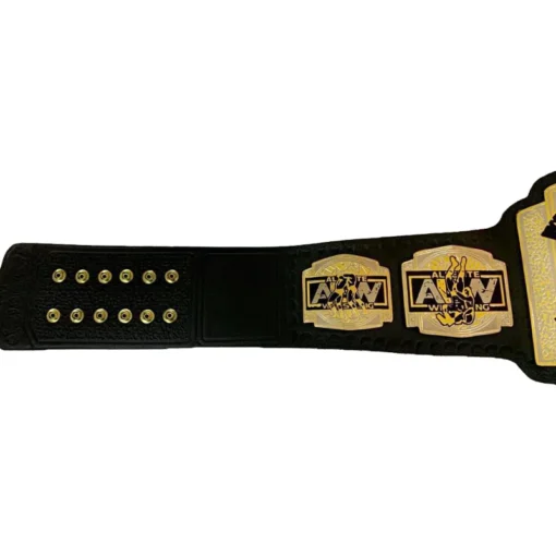 AEW World Tag Team Wrestling Championship