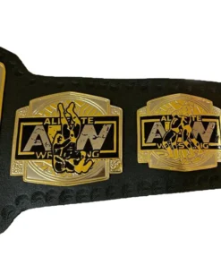 AEW World Tag Team Wrestling Championship