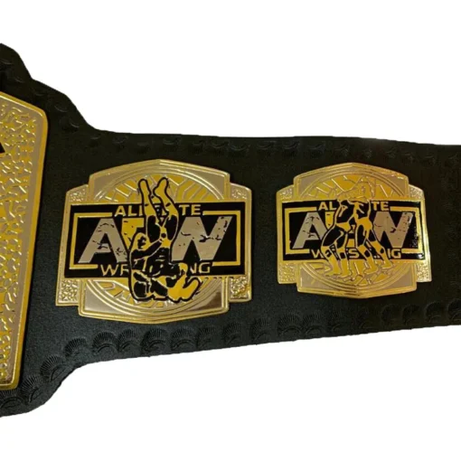 AEW World Tag Team Wrestling Championship