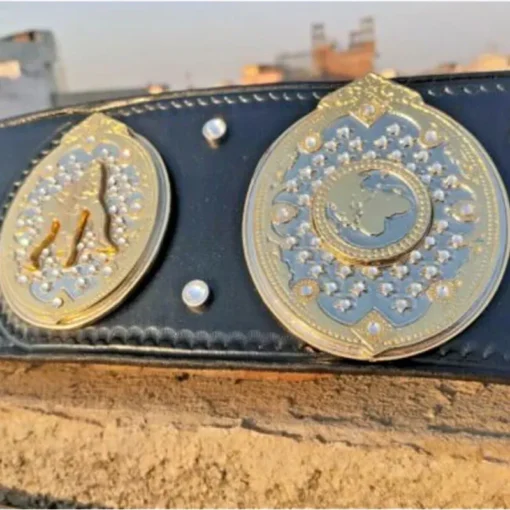 AEW WRESTLING WOMENS WORLD side plates