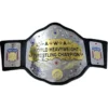 AWA INMATE HEAVYWEIGHT REPLICA Championship Belt - championship belt maker