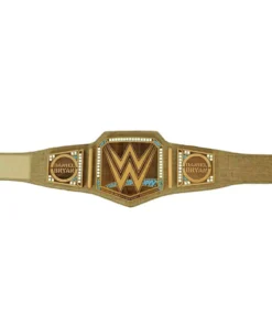 Daniel Bryan Eco-Friendly customized Title Belt (1)