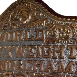 Dual Plated Big Gold World Heavyweight (2)