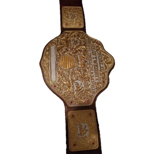 Dual Plated Big Gold World Heavyweight (3)