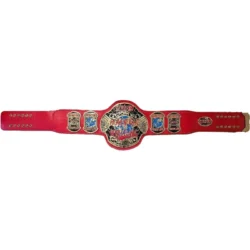 ECW Heavyweight Championship Title Belt (1)