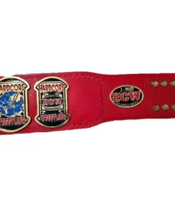 ECW Heavyweight Championship Title Belt (3)