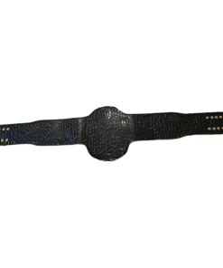 ECW Heavyweight Championship Title Belt (5)