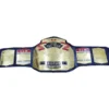 ECW WORLD TAG TEAM WRESTLING - championship belt maker