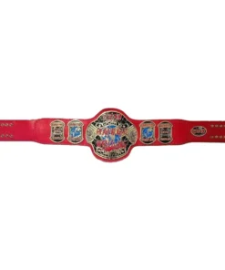 ECW World Heavyweight Championship custom belts (1)