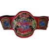 ECW World Heavyweight Championship custom belts - championship belt maker