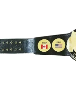 ECW World Television Heavy Weight Wrestling Championship Belt (3)