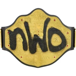 Hollywood Hogan Signature Series customized Title Belt (1)