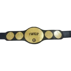 IWGP Tag Team Championship custom belts (1) - championship belt maker