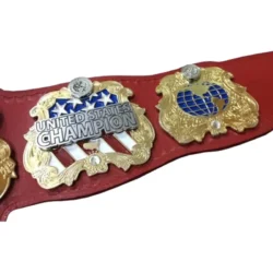 IWGP United States Championship custom belts (4)