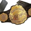 IWGP V4 HEAVYWEIGHT Zinc Championship Belt (1)