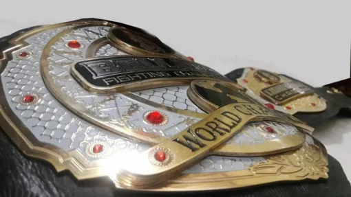 MMA Bellator World Championship title Belt