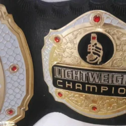 MMA Bellator title belt