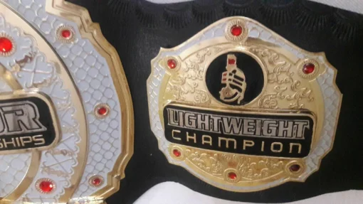 MMA Bellator title belt