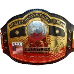 NWA Domed Globe Heavyweight Title Belt (1)