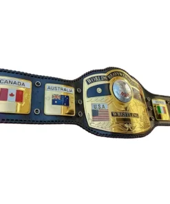 NWA Domed Globe Heavyweight Title Belt (3)