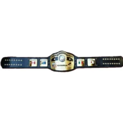 NWA Domed Globe Heavyweight Title Belt (4)