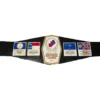 NWA Mid Atlantic Heavyweight Wrestling - championshipbeltmaker.com
