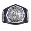 NXT Cruiserweight custom Title Belt