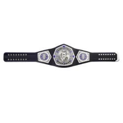 NXT Cruiserweight custom Title Belt