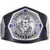 NXT Cruiserweight custom Title Belt - championshipbeltmaker.com