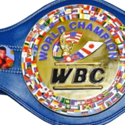 New Blue WBC Boxing Championship Belt (2)