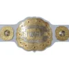 New IWGP Intercontinental custom belts (1) - championship belt maker