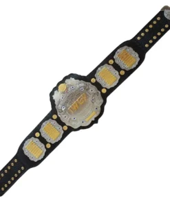 New IWGP JR Wrestling Championship Belt (2)