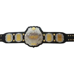 New IWGP JR Wrestling Championship Belt (4)