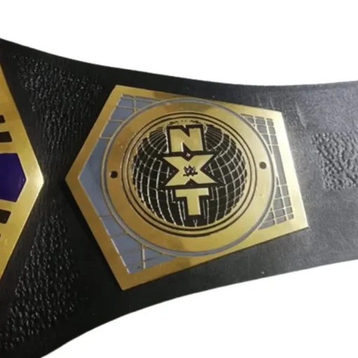 Nxt Cruiser weight championship belt (1)