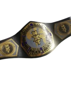 Nxt Cruiser weight championship belt (3)