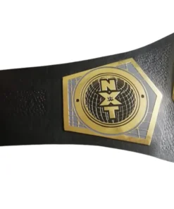 Nxt Cruiser weight championship belt (4)