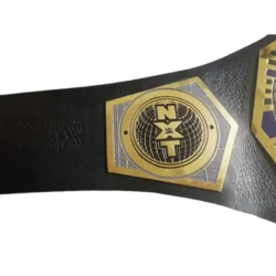 Nxt Cruiser weight championship belt (4)