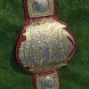 OldTNAWorldHeavyweightWrestlingChampionshipBelt - Championshipbeltmaker