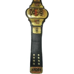 RING OF HONOR WORLD CHAMPIONSHIP TITLE (1)