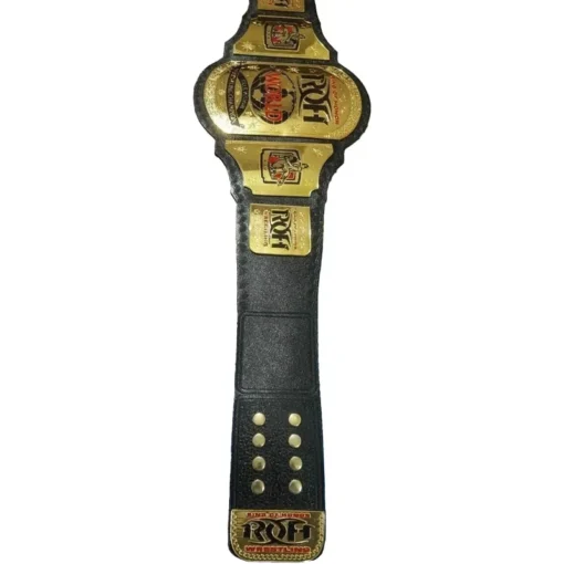 RING OF HONOR WORLD CHAMPIONSHIP TITLE (1)