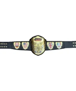 ROH World Wrestling Heavyweight (1)