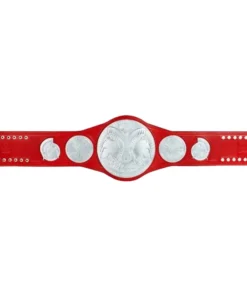Raw Tag Team Commemorative Title Belt (1)