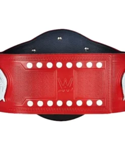 Raw Tag Team Commemorative Title Belt (4)