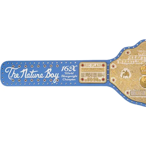 Ric Flair Big Gold Heavyweight Championship customized Title (2)