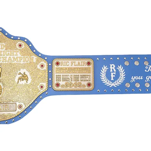 Ric Flair Big Gold Heavyweight Championship customized Title (3)